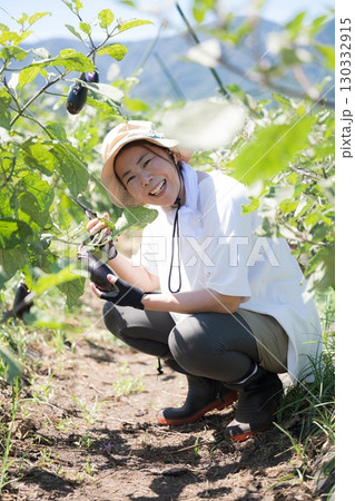 畑で野菜を収穫する女性 農家や農業で働くする人のイメージ 笑顔 畑で野菜を収穫する女性 農家や農業で働くする人のイメージ 笑顔 130332915