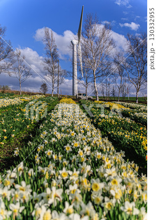 春の青空と水仙の花、風力発電のある風景 春の青空と水仙の花、風力発電のある風景 130332955