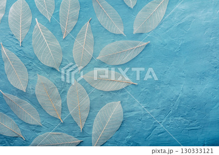 Autumn leaves pattern background. Skeleton leaves on a teal blue texture 130333121