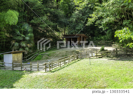 神勝寺 ロバの一休 広島県福山市 神勝寺 ロバの一休 広島県福山市 130333541