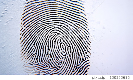 Fingerprint Swirls, Unique Identity, Personal Trace, Forensic Detail. Great for security, identity, abstract human elements 130333656