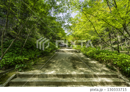 神勝寺 参道 広島県福山市 神勝寺 参道 広島県福山市 130333715
