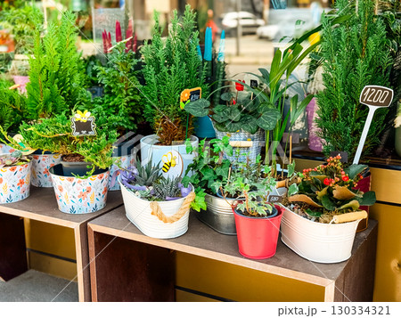 Potted plants and flowers displayed for sale outside local shop. Urban gardening culture symbolizing lifestyle, commerce and everyday greenery in city environment. Potted plants and flowers displayed for sale outside local shop. Urban gardening culture symbolizing lifestyle, commerce and everyday greenery in city environment. 130334321