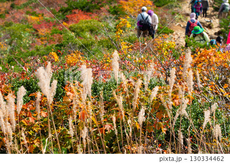 秋の安達太良山 秋の安達太良山 130334462