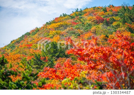 秋の安達太良山 130334487