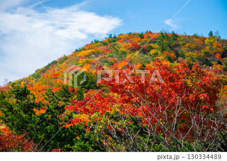 秋の安達太良山 130334489