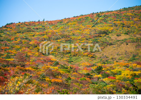 秋の安達太良山 130334491
