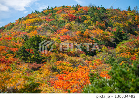 秋の安達太良山 130334492