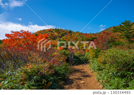 秋の安達太良山 秋の安達太良山 130334493