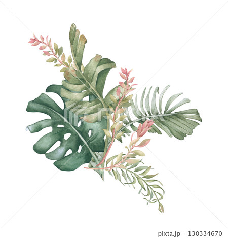 Bush of tropical foliage watercolor illustration isolated on white. Monstera, palm fronds, jungle plants hand drawn. Tropical leaves in pink and soft green colors for packaging, boho wedding design. 130334670