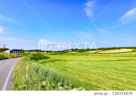 稚内の小さな村・抜海の広大な農場と青空の風景 稚内の小さな村・抜海の広大な農場と青空の風景 130334879