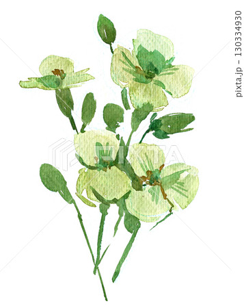 Loose watercolor bouquet in soft green tones. Minimal botanical painting Loose watercolor bouquet in soft green tones. Minimal botanical painting 130334930