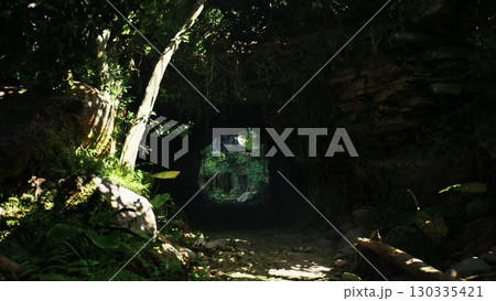 A tunnel cuts through a dense, green forest in Indonesia, providing a unique pathway through the natural landscape. A tunnel cuts through a dense, green forest in Indonesia, providing a unique pathway through the natural landscape. 130335421