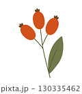 Bunch of red berries, hand-drawn. Cosy autumn set. Vector illustration 130335462