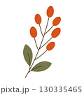 Bunch of red berries, hand-drawn. Cosy autumn set. Vector illustration 130335465