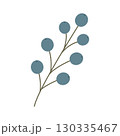 Bunch of blue berries, hand-drawn. Cosy autumn set. Vector illustration 130335467