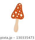 Red fly agaric mushroom. Vector illustration, hand-drawn on a white background 130335473