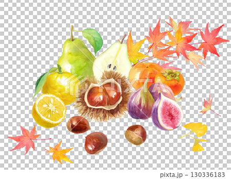A collection of autumn and winter fruits against the background of autumn leaves. Watercolor illustration of chestnut, persimmon, fig, pear and yuzu. 130336183