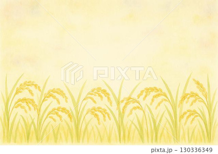 稲穂 稲穂 130336349