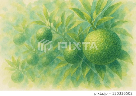 じゃばら 130336502