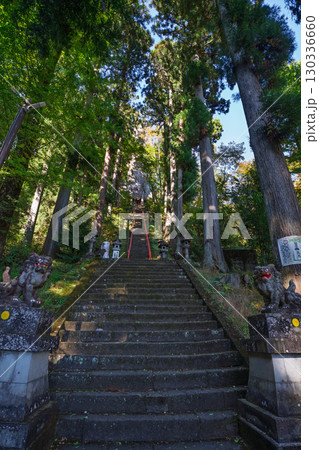 秋の妙義山 中之嶽神社の参道　群馬県下仁田町 130336660
