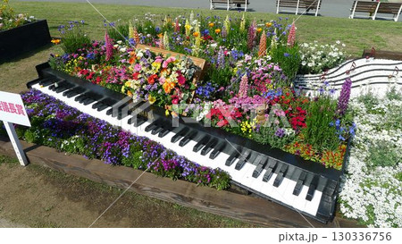 横浜市山下公園 130336756