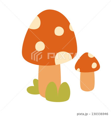 Illustration of fly agaric mushroom with red cap and white spots. Perfect for botanical projects, fairytales, folklore art, educational materials, and designers inspired by forest themes. 130336946
