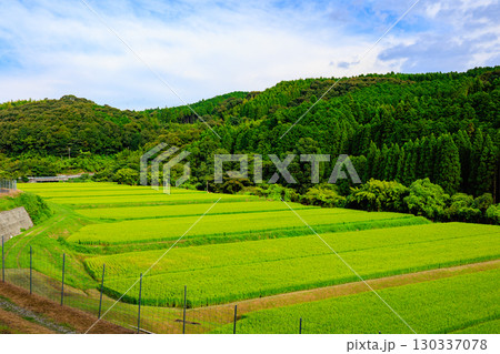 田園風景 130337078