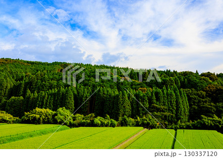 田園風景 田園風景 130337120