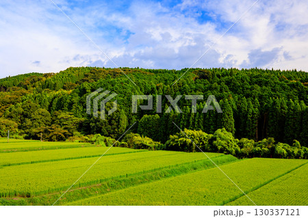 田園風景 130337121