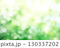 green bokeh background 130337202