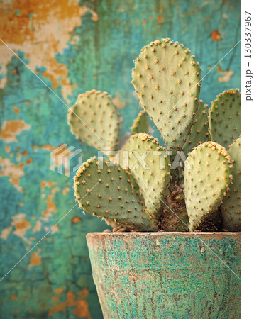 A close-up of an opuntia cactus in a pot, against a vibrant yellow background.  130337967