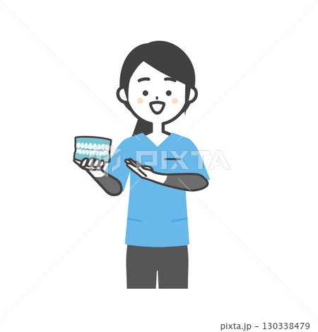 歯の模型を持つスクラブ姿の女性イラスト 130338479