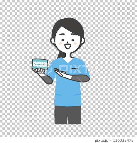 歯の模型を持つスクラブ姿の女性イラスト 130338479