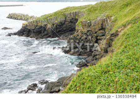 根室車石いろいろ・夏 130338494