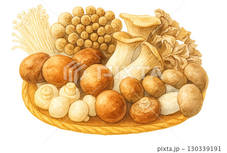 淡い1本きのこの水彩画(原画) 淡い1本きのこの水彩画(原画) 淡い1本きのこの水彩画(原画