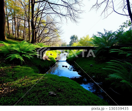 Picturesque Brook Flows Through the Forest Under Wooden Bridge 130339435