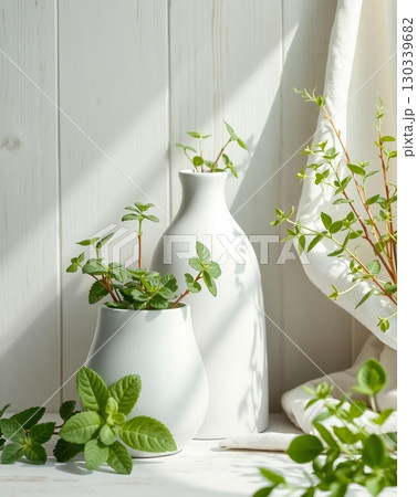 Still Life of Mint Plants in White Vases with Natural Light and Soft Drapery 130339682