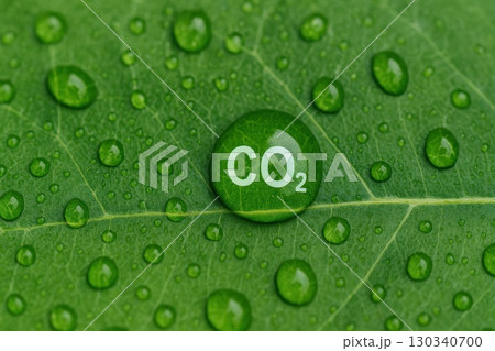 Environmental Monitoring Action Closeup of Green Leaf with Water Droplets Nature Macro Ecoscience View Environmental Monitoring Action Closeup of Green Leaf with Water Droplets Nature Macro Ecoscience View 130340700