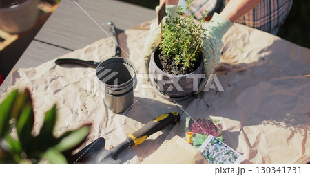 Preparation for transplanting a houseplant using extended clay, soil, shovel, rake and flowerpot. Home gardening. Hobbies and leisure concept. 130341731