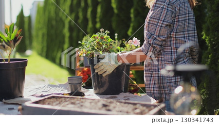 Preparation for transplanting a houseplant using extended clay, soil, shovel, rake and flowerpot. Home gardening. Hobbies and leisure concept. 130341743
