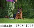 Training Time: German Shepherd and Handler in the Park 130341928