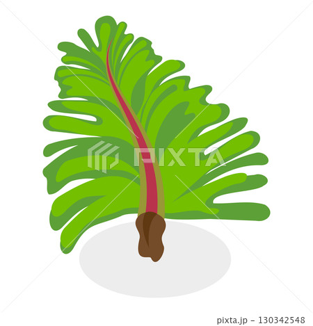 3D Isometric Flat Vector Set of Seaweeds, Marine Algae Collection. A set of various types of seaweed gathered from the ocean, perfect for showcasing the beauty of underwater flora.. Item 6 130342548