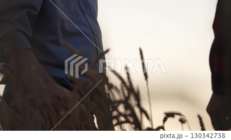 A farmer's handshake in the wheat field at dusk, Celebrating a successful harvest with a handshake among wheat, Two farmers agreeing on a deal amidst golden wheat fields, Hands locked in partnership 130342738