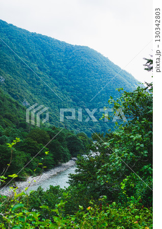 Fast mountain river with blue water between forested slopes vertical view 130342803