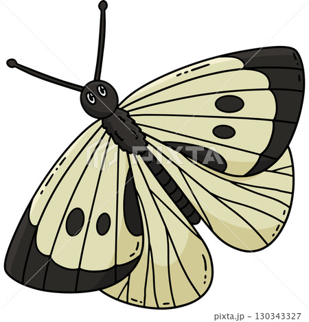 Insect Cabbage White Butterfly Cartoon Clipart Insect Cabbage White Butterfly Cartoon Clipart 130343327