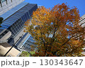 青空と街路樹の紅葉と都市の街並みが美しい秋の風景 130343647