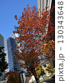 青空と街路樹の紅葉と都市の街並みが美しい秋の風景 130343648