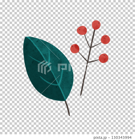 Branches with dark green leaves and red berries, watercolor hand-drawn illustration 130343994