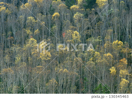 Dictionary of Materials Vol.122 Four Seasons. Scenery of Japan. High quality photo Dictionary of Materials Vol.122 Four Seasons. Scenery of Japan. High quality photo 130345463